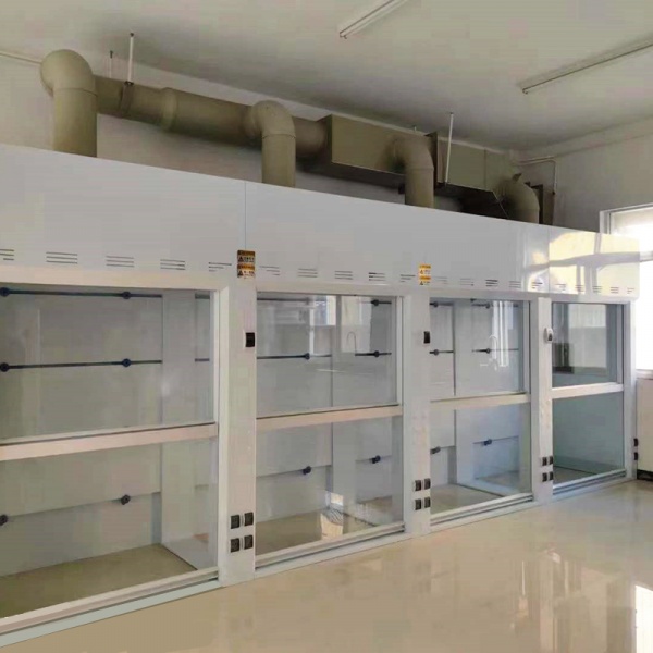 PP Walk-in Fume Hood