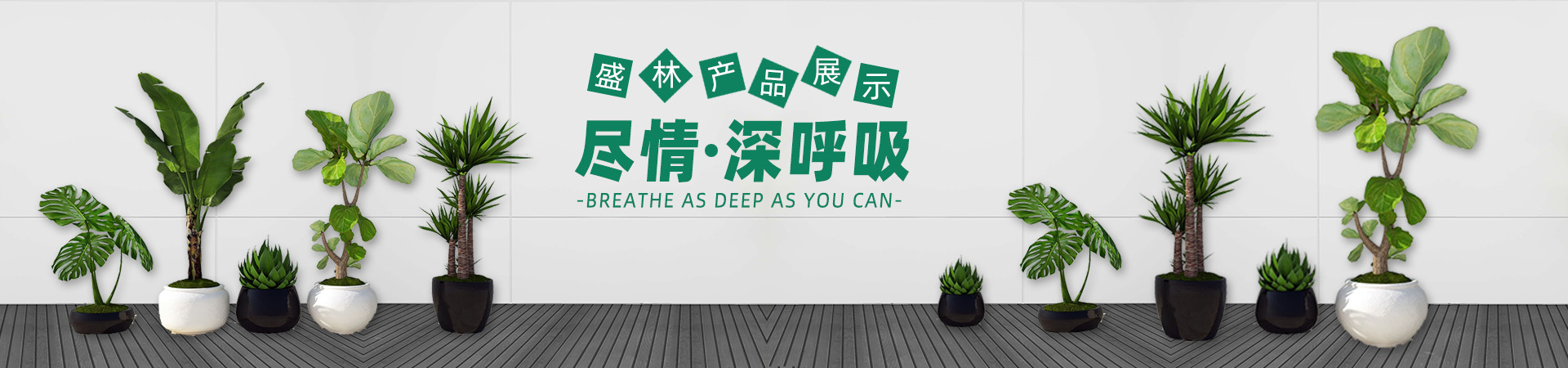 图片展示
