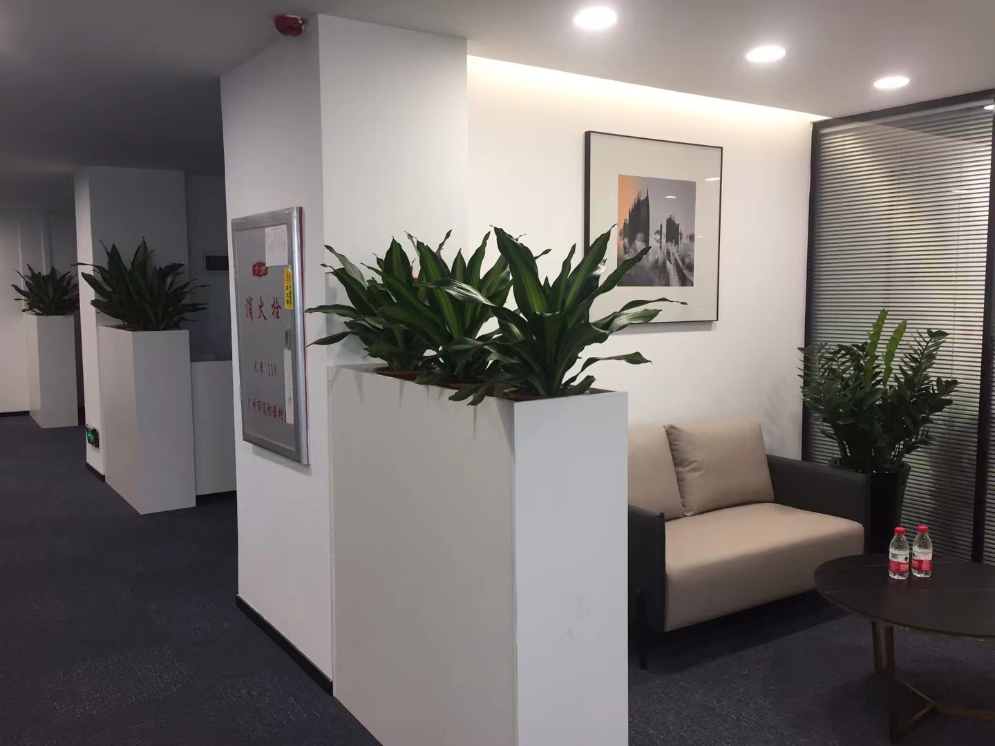 海珠区天河区白云区租花租绿植植物花卉出租价格优惠免费送货上门