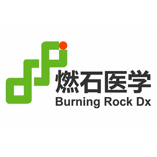 燃石医学
