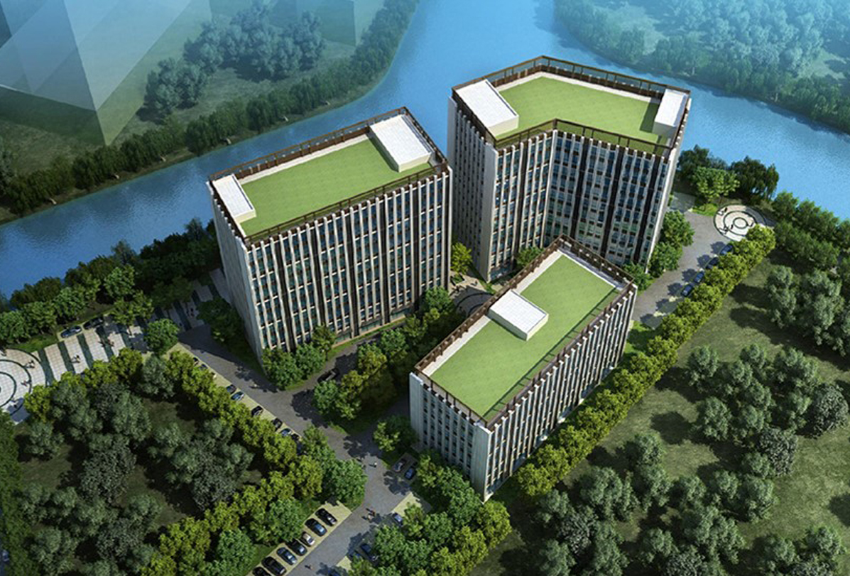 图片展示