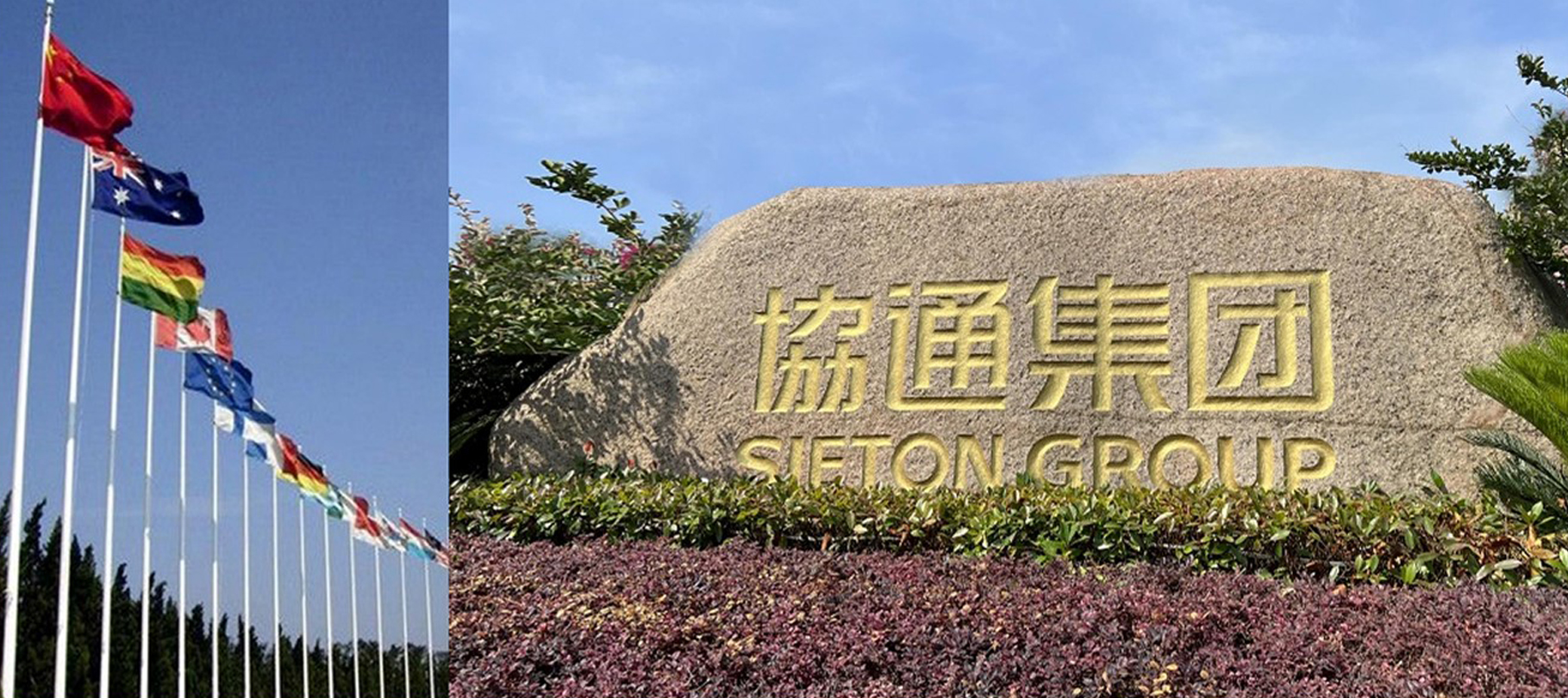 图片展示