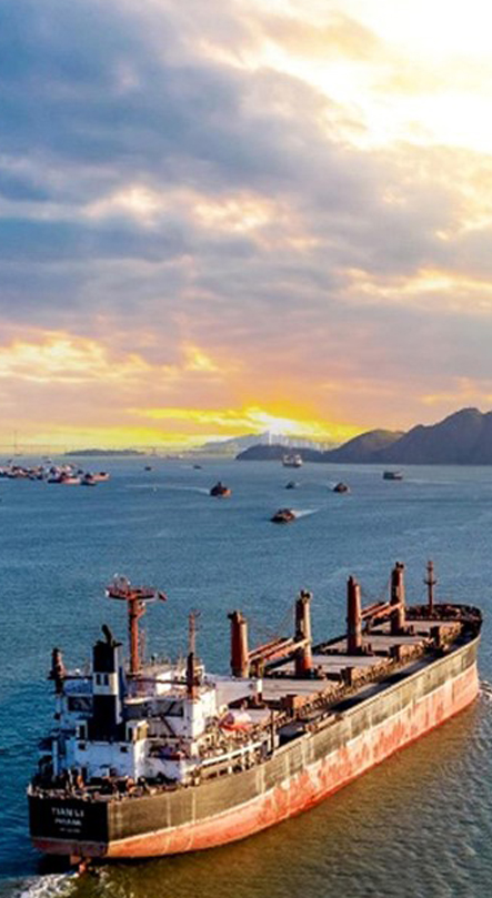 IMPORT AND EXPORT TRADE