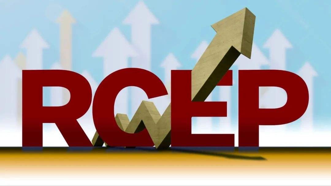 Пагадненне RCEP уступае ў сілу з 1 студз...
