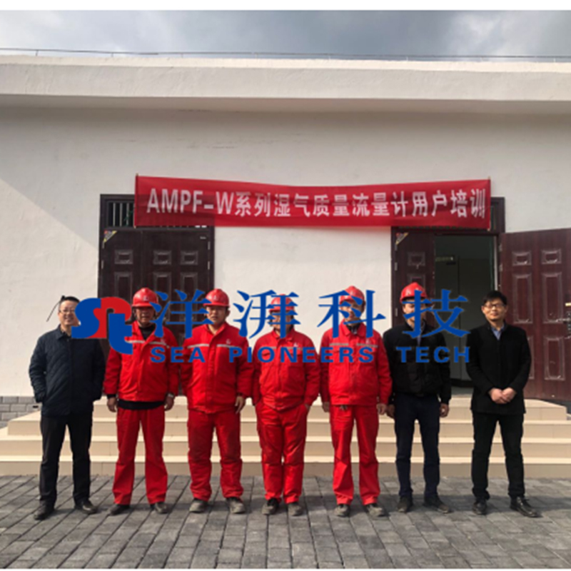洋湃科技AMPF-W系列湿气质量流量计用户现场培训