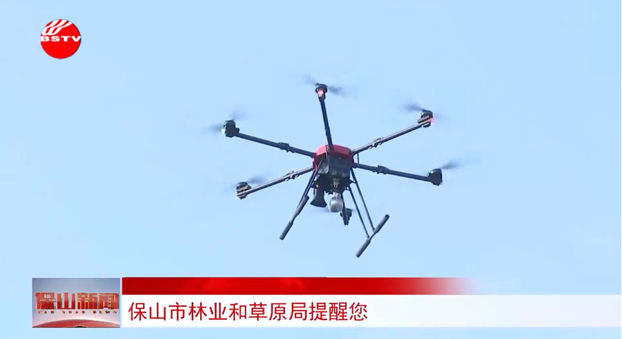 雲南省保山市森林防滅火實戰案例