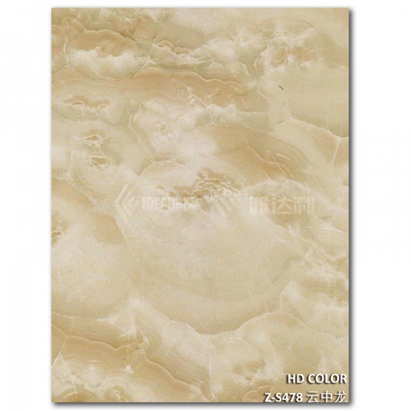 Z-S478-雲（yún）中龍（lóng）