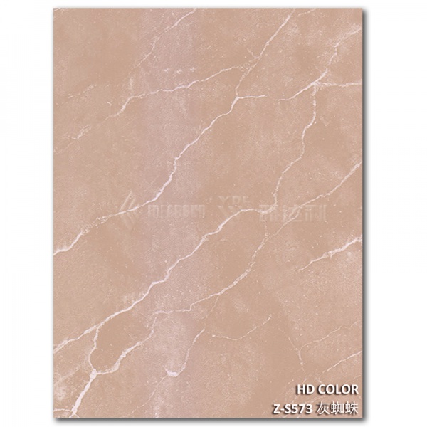 Z-S573-灰蜘蛛（zhū）