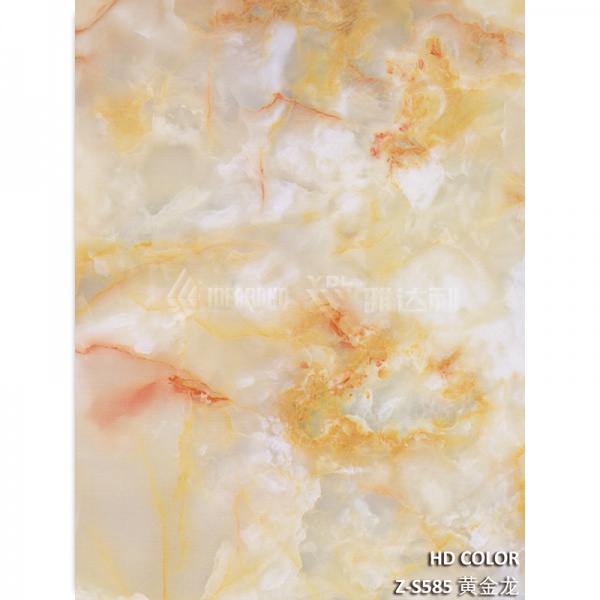 Z-S585-黃（huáng）金龍