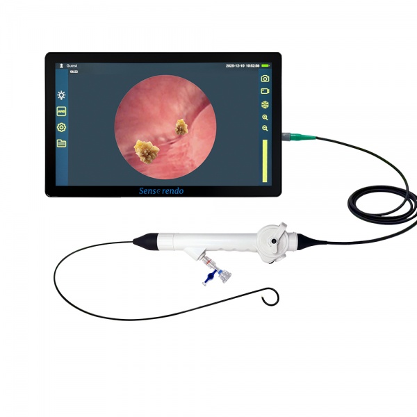 Disposable Flexible Ureterorenoscope S-DUS