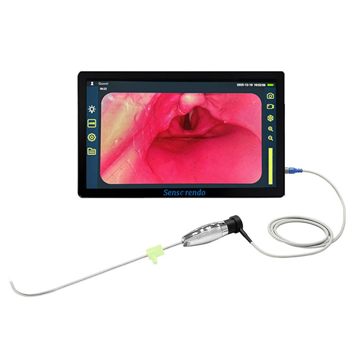 Video Stylet S-RVL