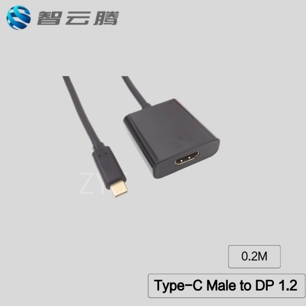 Type-C Male to DP 1.2 