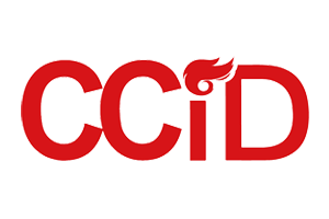 CCID交付能力认证查询