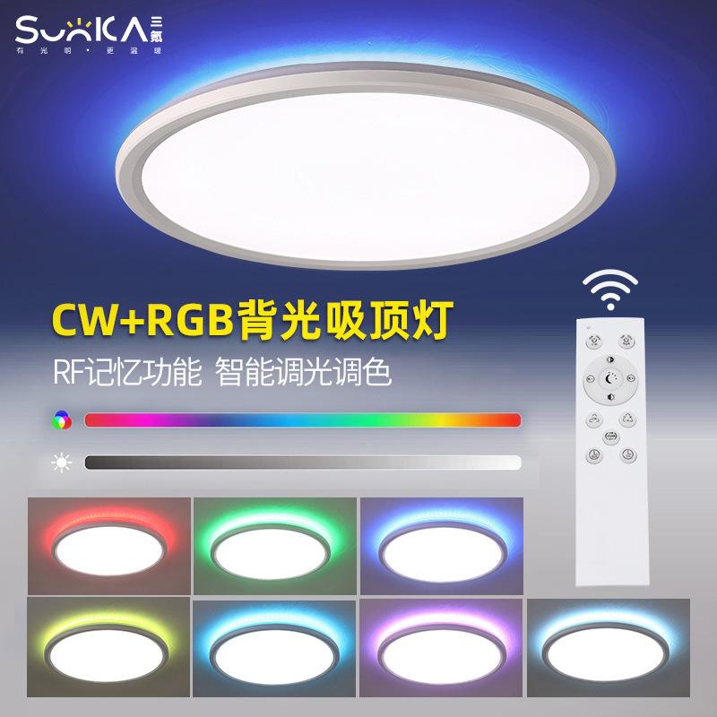 Remote RGBIC Ceiling lamp