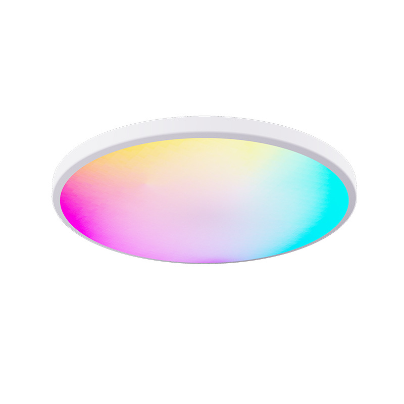 TUYA smart RGBIC Ceiling lamp Model C
