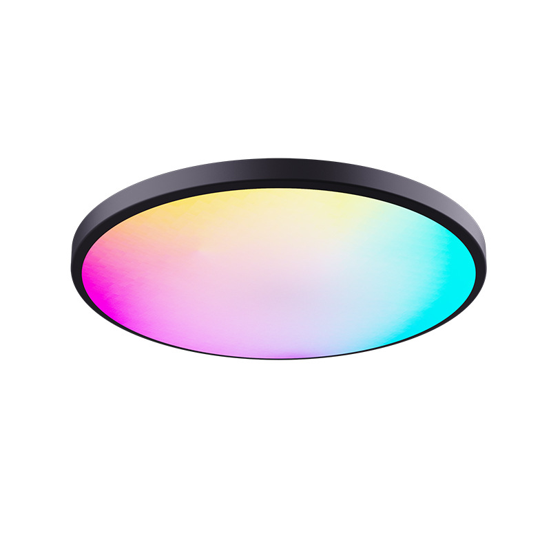 TUYA smart RGBIC Ceiling lamp Model C