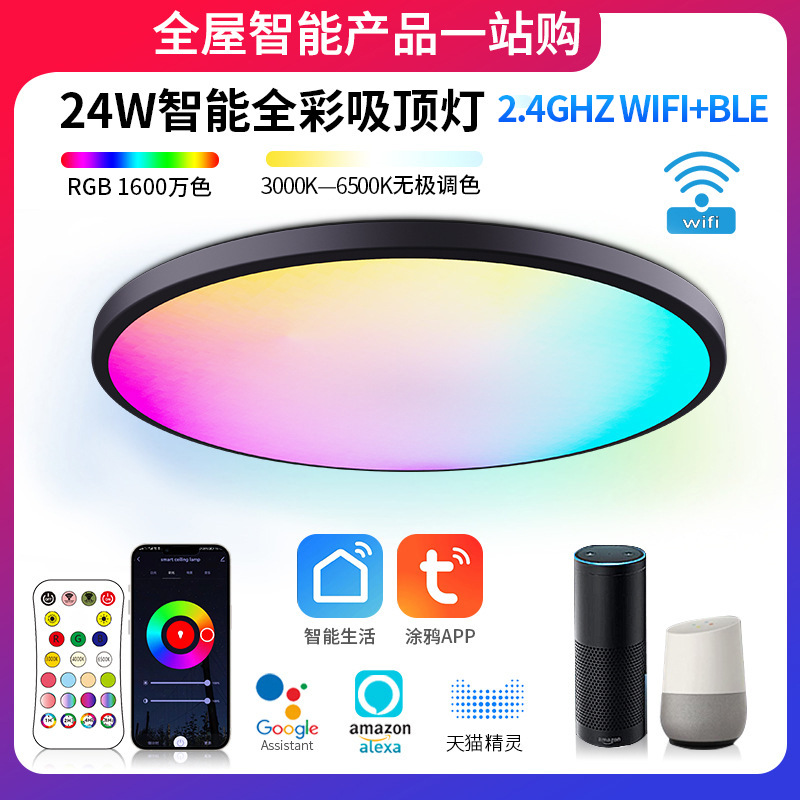 TUYA smart RGBIC Ceiling lamp Model C