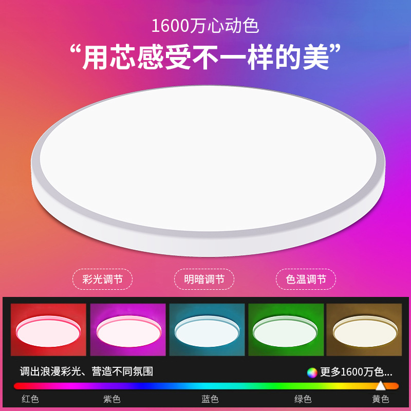 TUYA smart RGBIC Ceiling lamp Model C