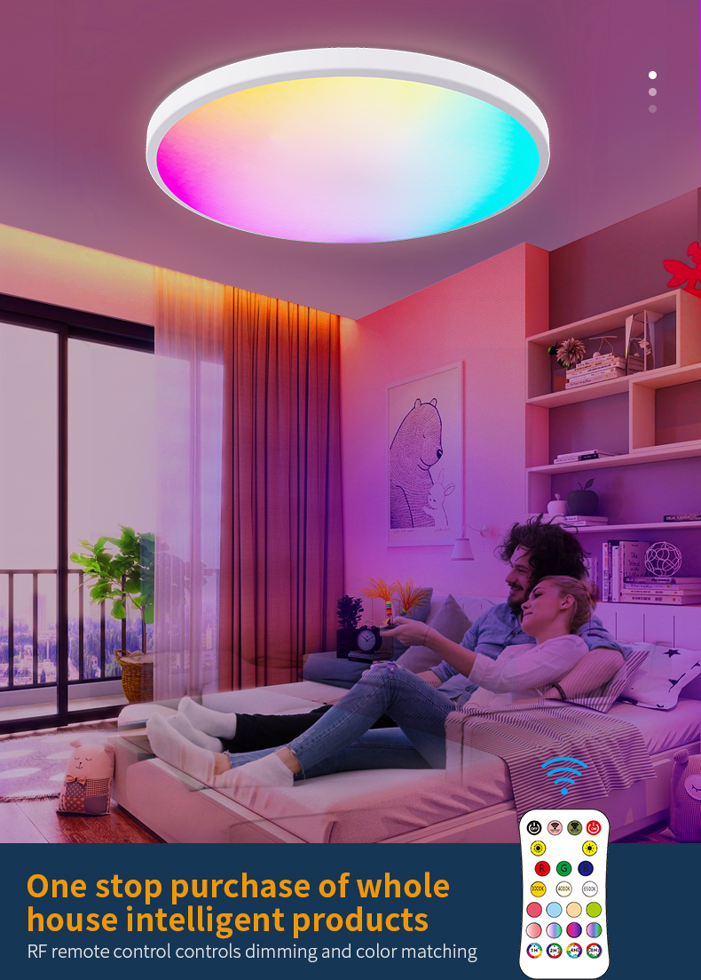 Remote RGBIC Ceiling lamp Model C