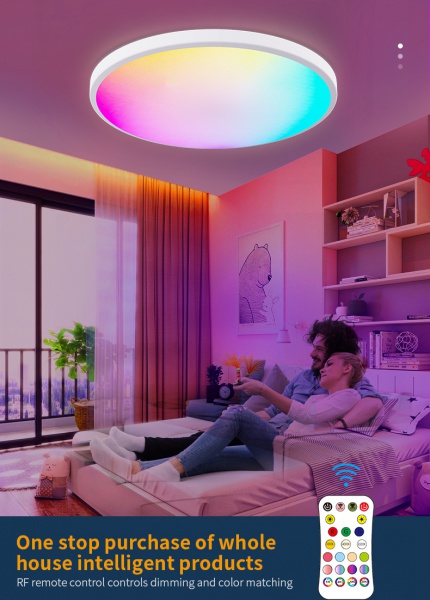Remote RGBIC Ceiling lamp Model C