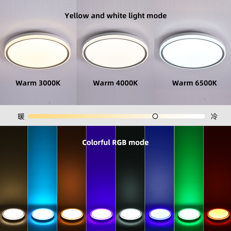Remote RGBIC Ceiling Lamp Model K