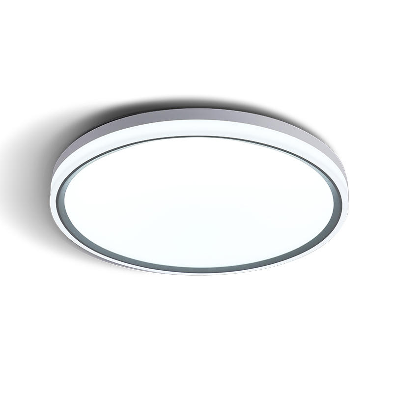 Remote RGBIC Ceiling Lamp Model K