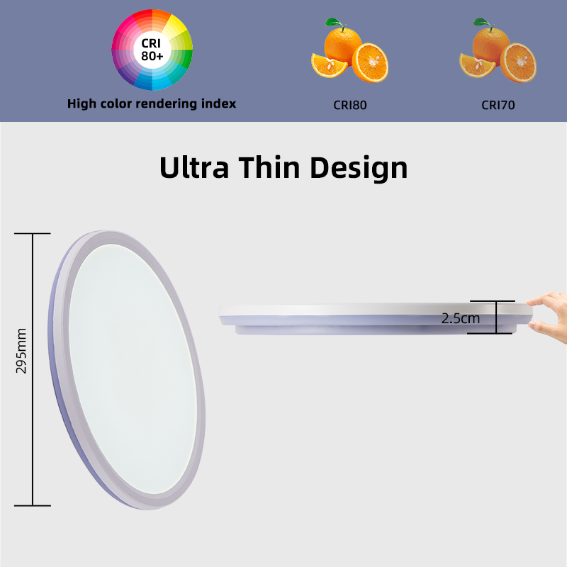  LED Flush Mount Ceiling Light Fixture with Night light