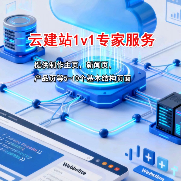 云建站1v1专家服务