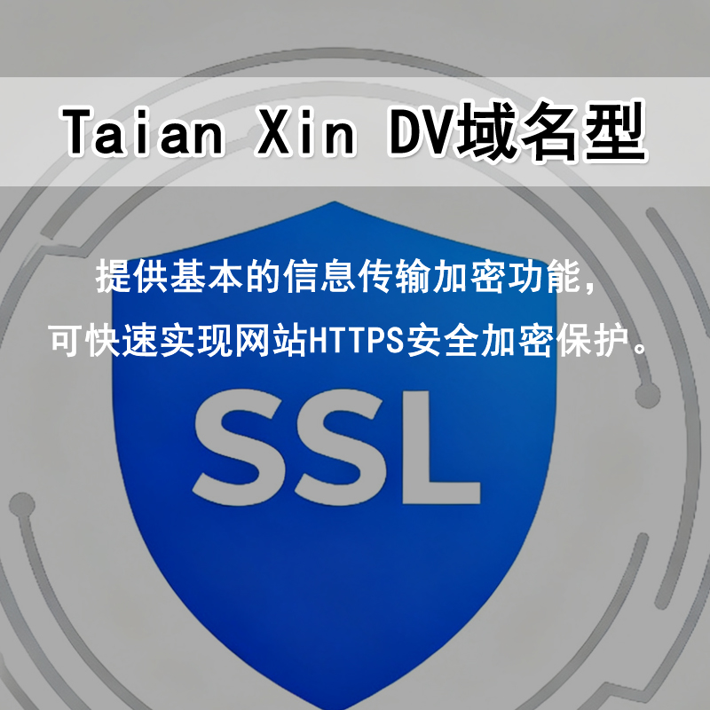 Taian Xin DV域名型 SSL证书