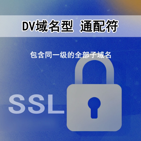 sslTrus DV域名型 通配符(国产根)