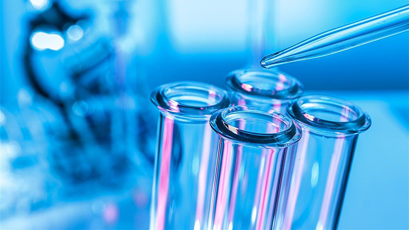 图片展示