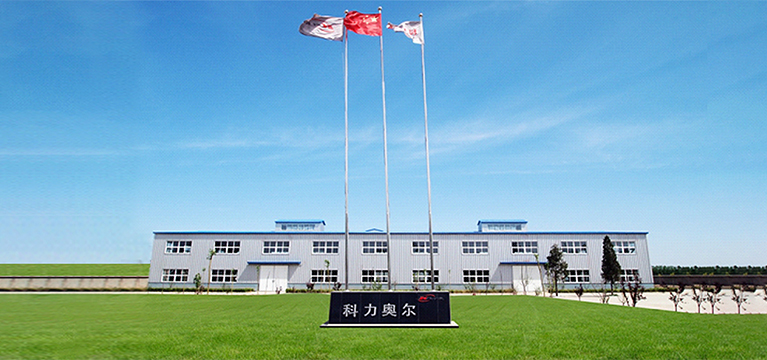 图片展示