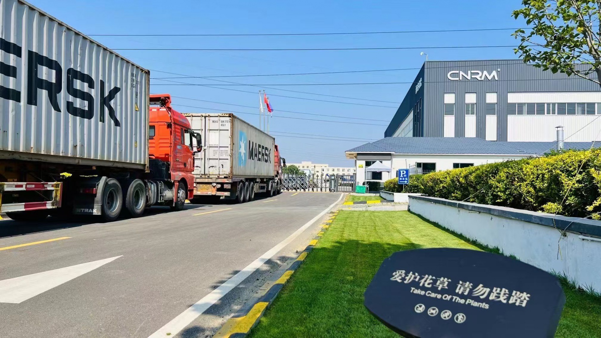 CNRM PP/PE/PET Filament Extrusion Line for Rope Netting Broom Brush Carpet