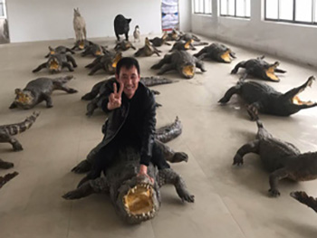 人工鳄鱼生态养殖