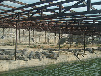 门徒娱乐生态养殖厂