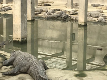 小门徒娱乐价格