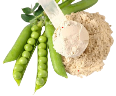 Pea Protein