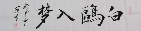 白鸥入梦