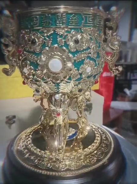 金欧永固杯