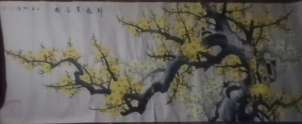 卧龙黄金梅