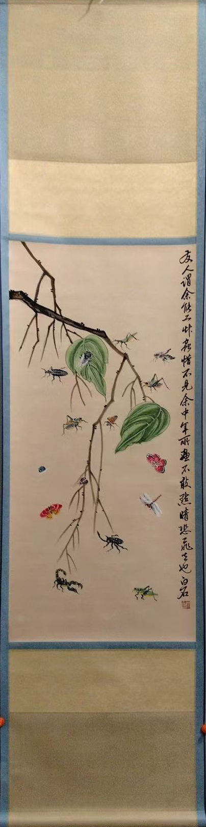 贝叶草虫图