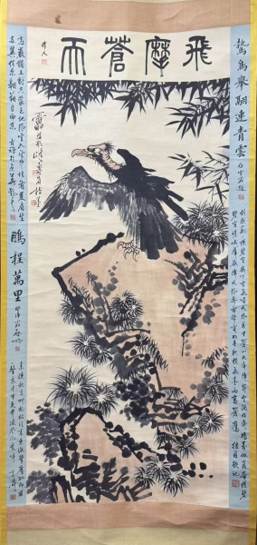 鹰