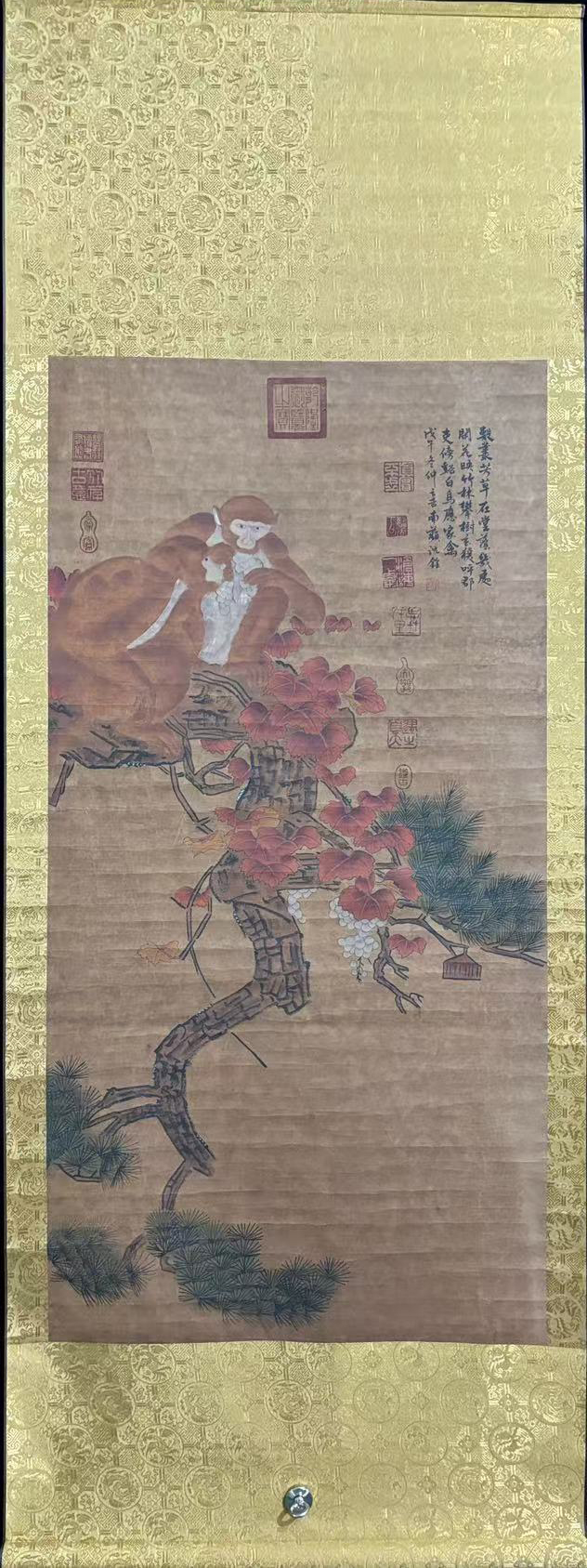 动物图