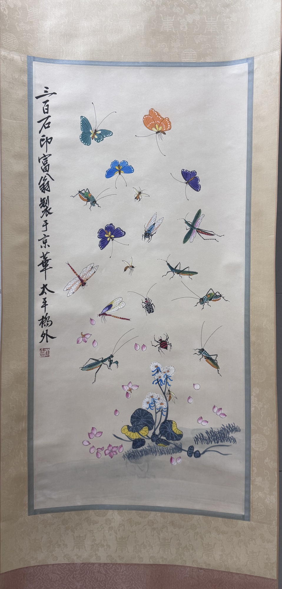 昆虫图