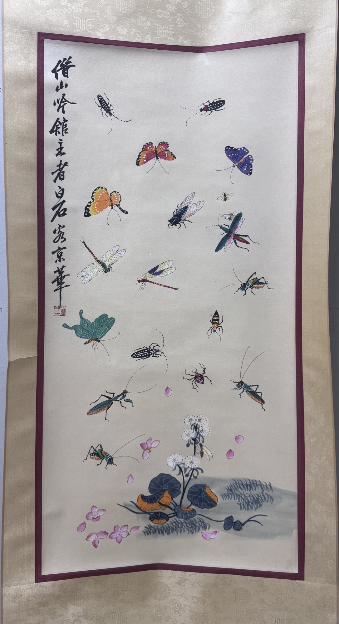 昆虫图