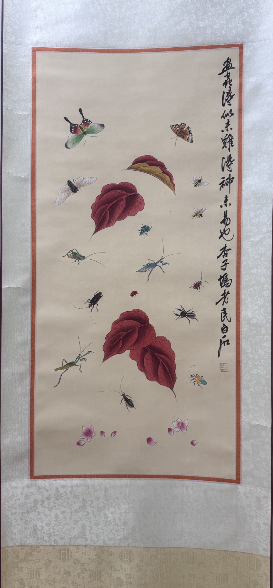 昆虫图