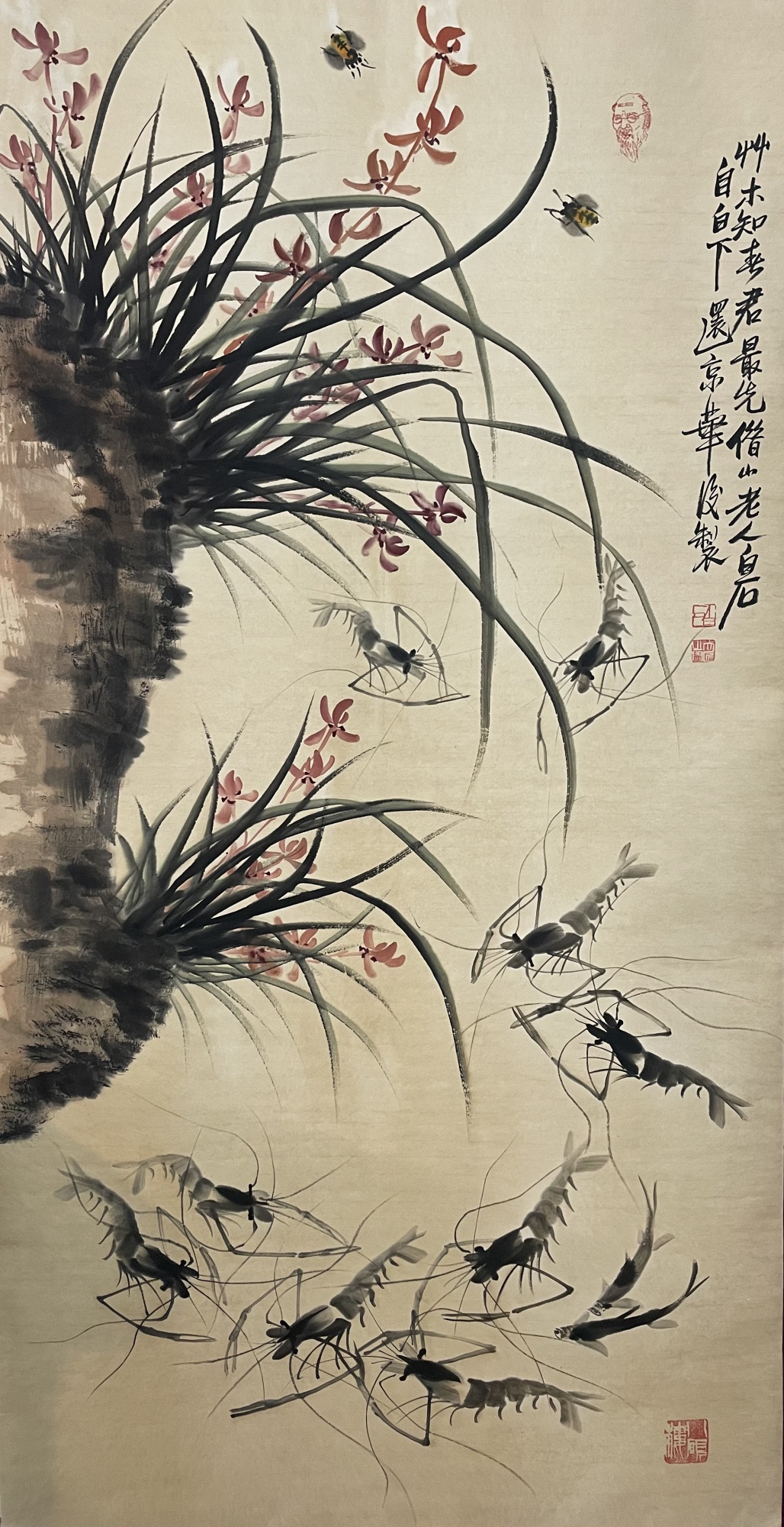 群虾图