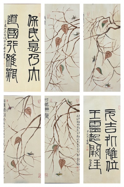 贝叶虫草