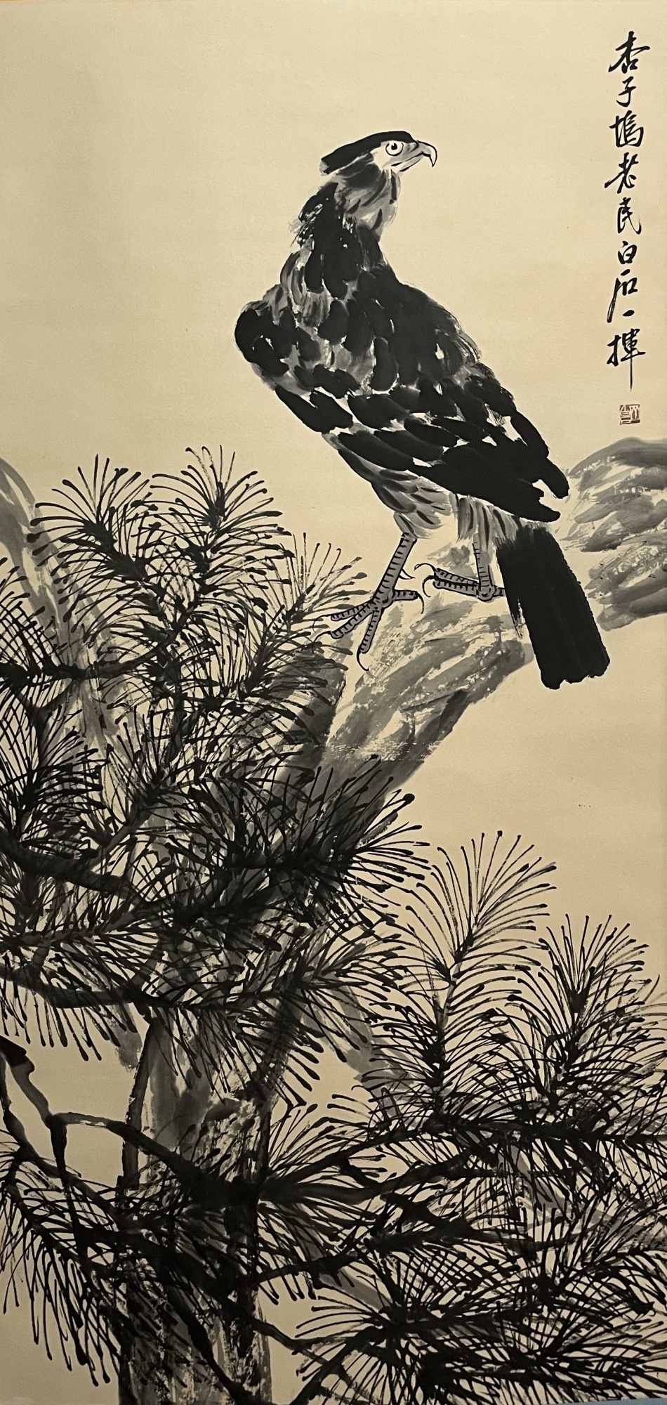 鹰击长空