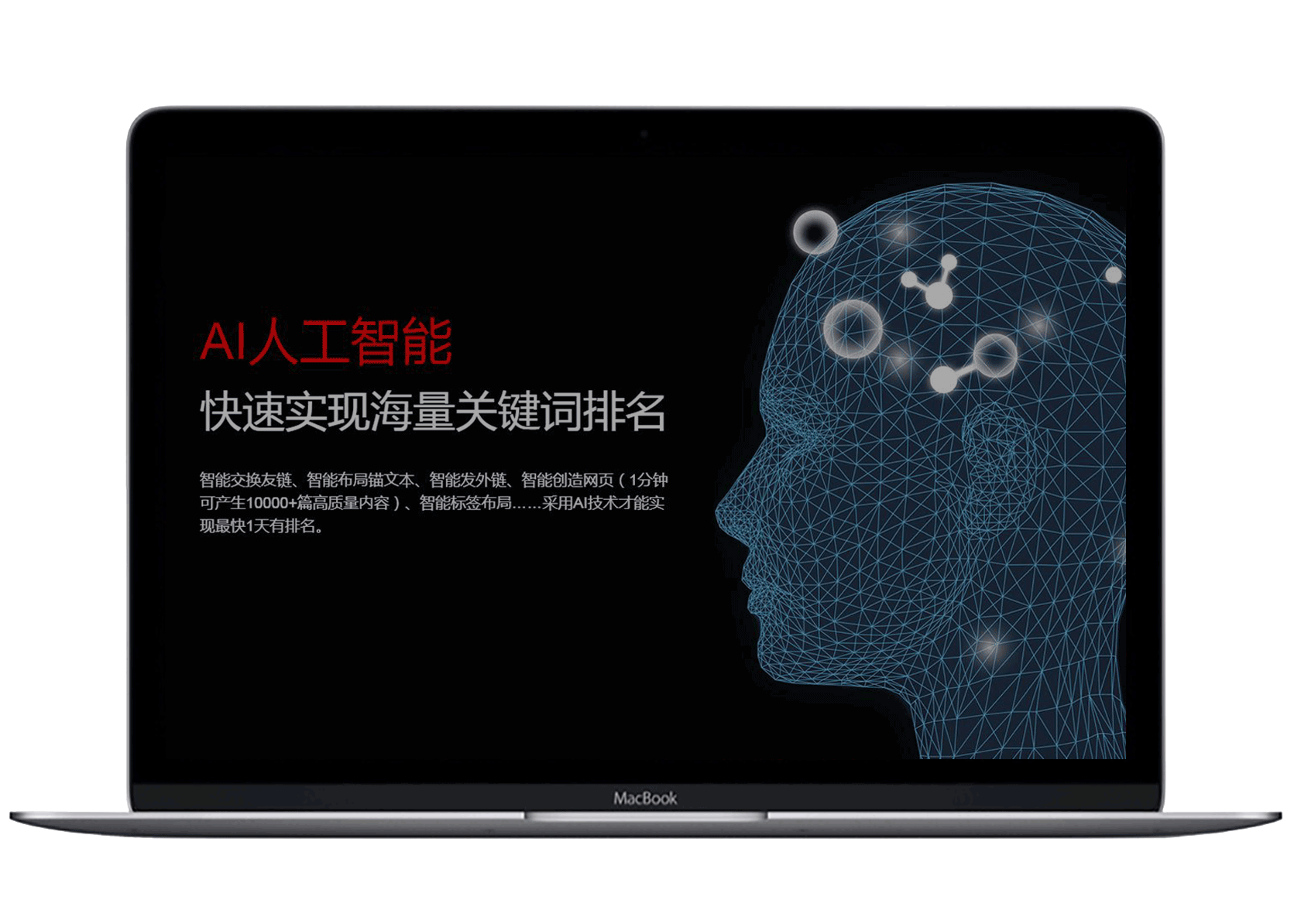 图片展示